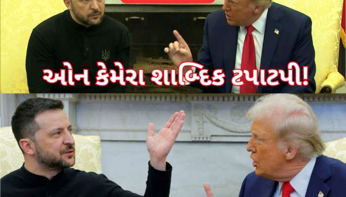 Watch Video: ફ્લાવર નહીં ફાયર હૈ મે, ઝૂકેગા નહીં...પુષ્પા સ્ટાઈલમાં જેલેન્સ્કીએ ટ્રમ્પને દેખાડ્યા તેવર, હવે આગળ શું?