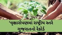સમગ્ર દેશમાં ગુજરાતે સ્થાપ્યો નવો રેકોર્ડ; આ અભિયાન હેઠળ કેટલા કરોડ વૃક્ષો વવાયા?