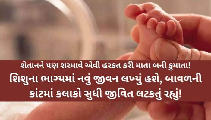 તાજા જન્મેલા શિશુને માતાએ હેવાન બનીને કાંટામાં છુટ્ટું ફેંકી દીધું! આ ઘટના વાંચી...