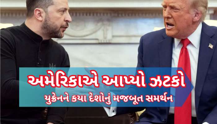 ટ્રમ્પ-જેલેન્સ્કી વચ્ચે 'વાકયુદ્ધ' બાદ ટ્રમ્પનો ગુસ્સો ફાટ્યો, ભર્યું મોટું પગલું...કયા દેશ યુક્રેનને પડખે છે એ પણ જાણો