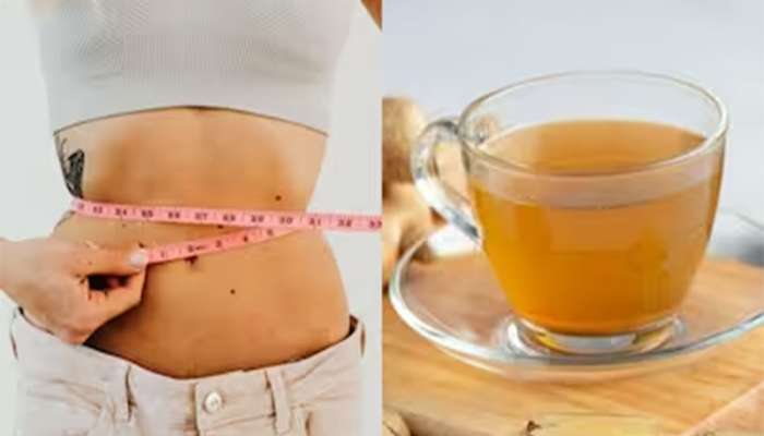 Weight Loss Drink: વજન ઘટાડી સ્લીમ રહેવું હોય તો ડાયટમાં સામેલ કરી લો આ 3 ડ્રિંક્સ, વજન રહેશે કંટ્રોલમાં