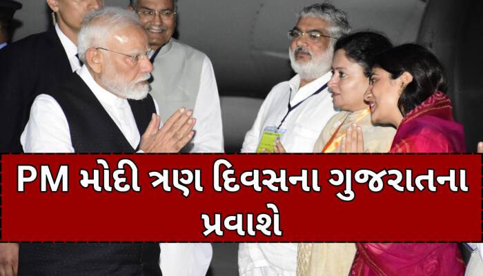 જામનગર એરફોર્સ ખાતે PM મોદીનું કરાયું સ્વાગત, આવતીકાલે સવારે વનતારાની લેશે મુલાકાત