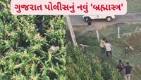 પોલીસે ટેક્નોલોજી મદદથી ખેતરમાં છૂપાયેલા આરોપીઓને ઝડપ્યા, તમે પણ જુઓ દિલધડક Video