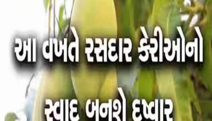 ગુજરાતમાં કેરી પકવતા ખેડૂતો માટે સૌથી ખતરારૂપ સમાચાર; આ વર્ષે આવી શકે છે રોવાનો વારો