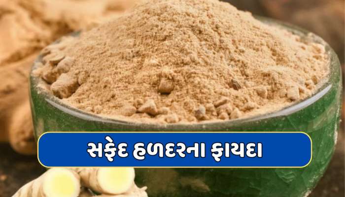 કેન્સરને હરાવવામાં અસરકારક છે સફેદ હળદર, જાણો કેવી રીતે કરે છે શરીરની રક્ષા 