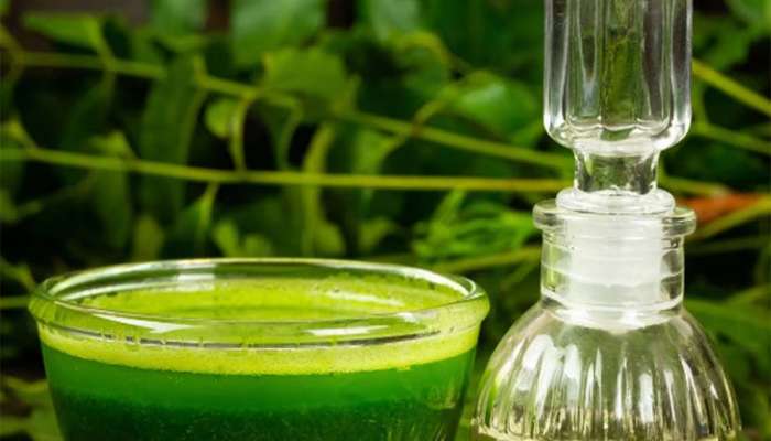 સવારે ખાલી પેટ પીવા લાગો આ લીલું પાણી, કોલેસ્ટ્રોલ, વજન, શુગર બધું રહેશે કંટ્રોલમાં