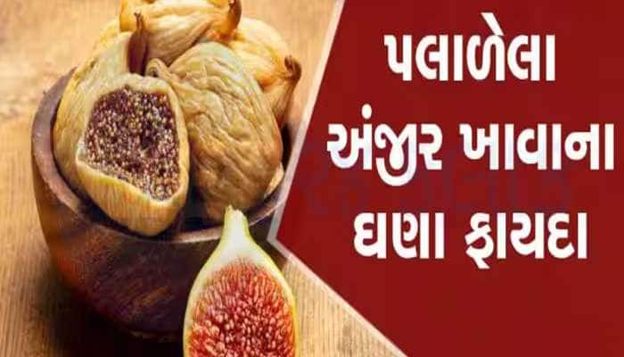 આ 6 લોકો માટે વરદાનથી ઓછું નથી આ ડ્રાયફ્રુટ, રોજ સેવન કરવાથી મળશે અદ્ભુત ફાયદા