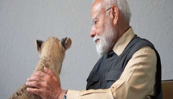 PM મોદીની વનતારા ટુરની આખી સફર 7.40 મિનિટમાં Video કેદ થઈ, જુઓ