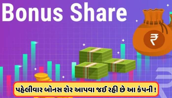 Bonus Share: 1 શેર પર 1 બોનસ શેર આપી રહી છે આ કંપની, કાલે રેકોર્ડ ડેટ