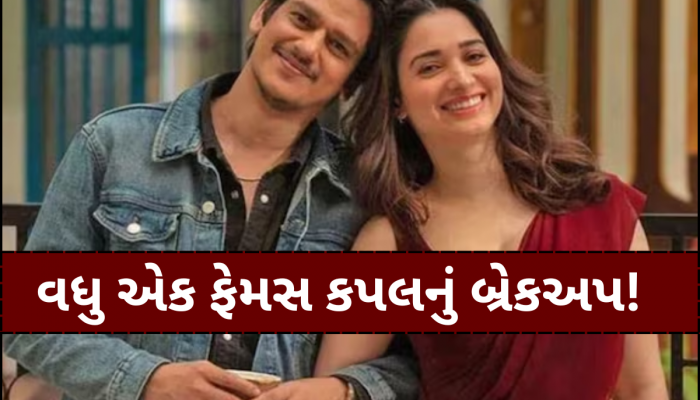 વર્ષો સુધી રિલેશનશિપમાં રહ્યા બાદ તમન્ના ભાટિયા-વિજય વર્માનું થયું બ્રેકઅપ? ઇન્સ્ટાગ્રામમાંથી એક્ટ્રેસે ડિલીટ કર્યા ફોટા