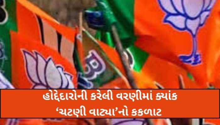 ભાજપે હોદ્દેદારોની વરણીમાં જુગારમાં ઝડપાયેલાને મેયરપદ અને ધોરાજીમાં રિલ્સવાળા પ્રમુખ