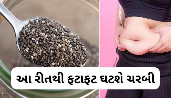 આ 2 વસ્તુ સાથે ચિયા સીડ્સ ખાવ તો ઝડપથી વજન ઘટે, બેડ કોલેસ્ટ્રોલ પણ થશે કંટ્રોલ