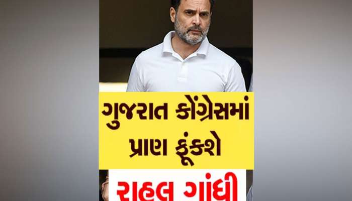 ગુજરાતના રાજકારણમાં મોટી હલચલ થશે! ખુદ રાહુલ ગાંધીએ સંભાળ્યો મોરચો, આ દિવસે આવશે 