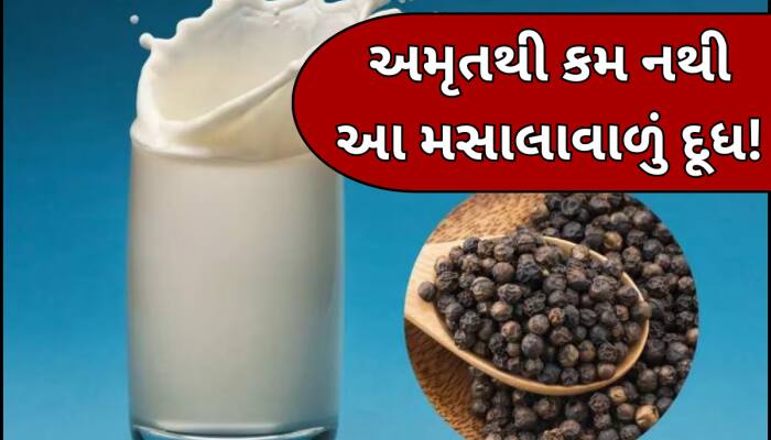 દૂધમાં આ નાની વસ્તુ મિક્સ કરીને પીવાથી મળશે ચમત્કારી ફાયદા,અનેક બીમારીઓથી થશે છૂમંતર