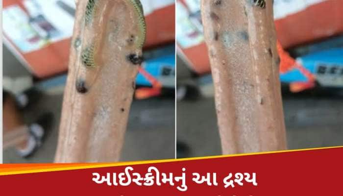 આઈસ્ક્રીમ ખરીદ્યા પછી રેપર ખોલતાં જોવા મળ્યો ઝેરી સાપ; દ્રશ્ય જોઈને ઠંડી પડી ગઈ નાડી