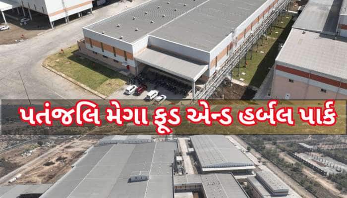 નાગપુરમાં શરૂ થશે 'પતંજલિ મેગા ફૂડ એન્ડ હર્બલ પાર્ક', ખેડૂતોને આવકમાં થશે મોટો ફાયદો
