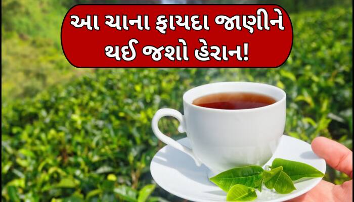 આ ચાથી કેન્સરનું રિસ્ક થઈ શકે છે ઓછું, જાણો બનાવવાની અને સેવન કરવાની રીત