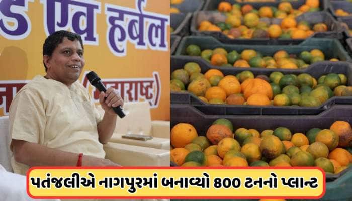 નાગપુરમાં બનશે પતંજલિ મેગા ફૂડ એન્ડ હર્બલ પાર્ક, ફૂડ પ્રોસેસિંગ માટે સિંગલ પોઈન્ટ