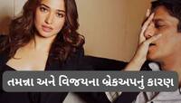તમન્ના ભાટિયા અને વિજય વર્માના બ્રેકઅપનું કારણ આવ્યું સામે, આ જીદના કારણે બંને થયા