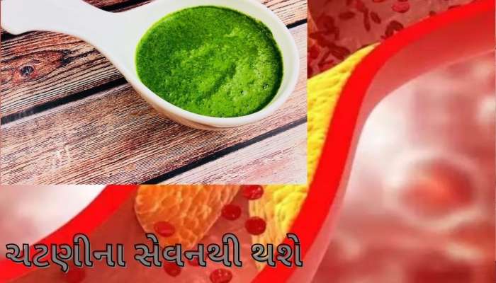 આ લીલી ચટણી નસોમાં જામેલા બેડ કોલેસ્ટ્રોલનો કરે છે સફાયો, જાણી લો બનાવવાની રીત