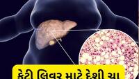 ફેટી લિવરના દર્દી સવારે 1 કપ પીવે આ ચા, મહિનામાં જોવા મળશે અસર, Liver થઈ જશે Healthy