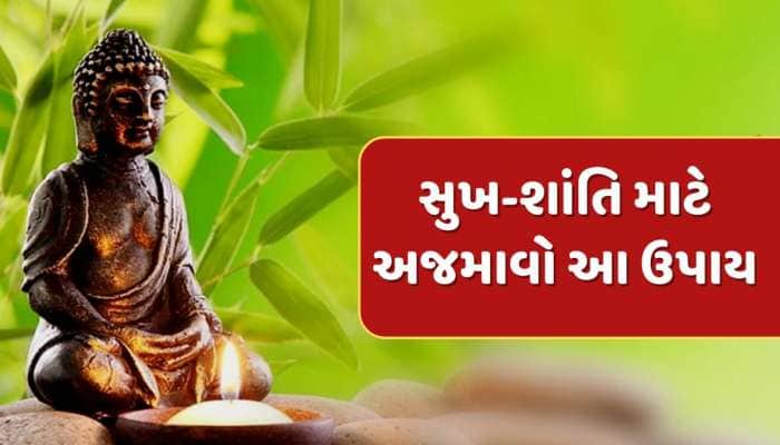 Vastu Tips : ઘરમાં જોઈએ છે સુખ-શાંતિ અને સમૃદ્ધિ...તો અજમાવો વાસ્તુના આ 5 સરળ ઉપાય
