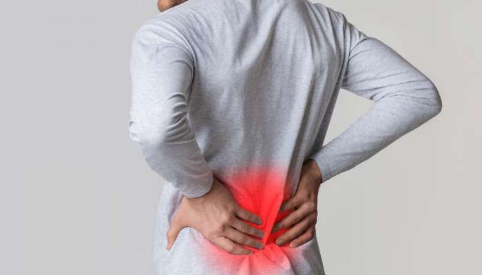 Kidney Disease: કિડની ફેલ થતા પહેલા શરીરમાં દેખાય છે આ 6 લક્ષણો, ઈગ્નોર કરશો તો મર્યા સમજો