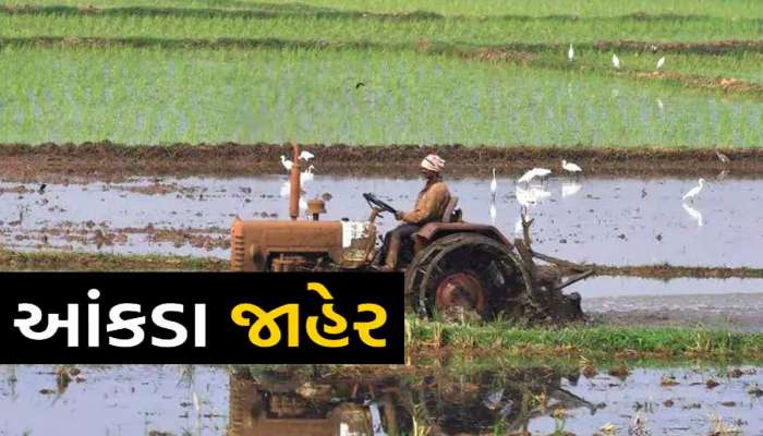 ગુજરાતના કેટલા ખેડૂતોને કેટલી સહાય અપાઈ, સરકારે વિધાનસભામાં આપ્યો રિપોર્ટ સાથે આપ્યો