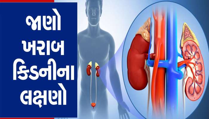 કિડની ખરાબ થતા પહેલા શરીના આ અંગ પર જોવા મળે છે સોજો, રાતોની ઊંઘમાં થઈ શકે છે હરામ!