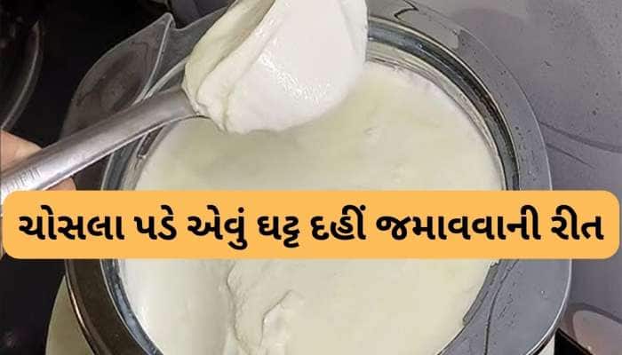ઘરે આઈસક્રીમ જેવું ઘટ્ટ અને સ્વાદિષ્ટ દહીં જામશે, આ ટીપ્સ ફોલો કરવાનું શરુ કરી દો