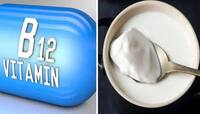 Vitamin B12: દહીંમાં આ વસ્તુ મિક્સ કરી ખાવાનું શરુ કરી દો, ઝડપથી વધશે વિટામિન B12