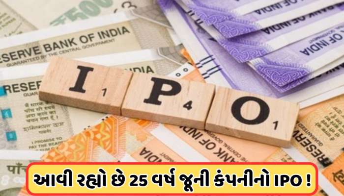 98 રૂપિયા ઈસ્યુ પ્રાઈસ, 25 વર્ષ જૂની છે કંપની, 17 માર્ચથી ખુલી રહ્યો છે IPO