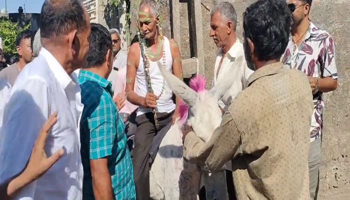 ગુજરાતની અનોખી ધૂળેટીની ઉજવણી, ગધેડા પર નીકળે છે સવારી