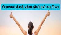 રોજના આહાર સાથે ખાવા લાગો આ વસ્તુઓ, કાળઝાળ ગરમીમાં પણ તમારું શરીર રહેશે એકદમ Cool