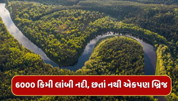 6000 કિમી લાંબી નદી, 9 દેશોમાંથી થાય છે પસાર, છતાં કેમ નથી એકપણ બ્રિજ ?