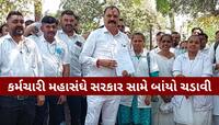 આરોગ્ય કર્મચારીઓના સરકાર સાથેની બેઠક નિષ્ફળ, આંદોલન રહેશે યથાવત
