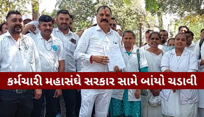 આરોગ્ય કર્મચારીઓના સરકાર સાથેની બેઠક નિષ્ફળ, આંદોલન રહેશે યથાવત