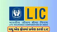 હેલ્થ ઇન્સ્યોરન્સ ક્ષેત્રમાં પ્રવેશ કરશે LIC, શેરના ભાવ બન્યા રોકેટ