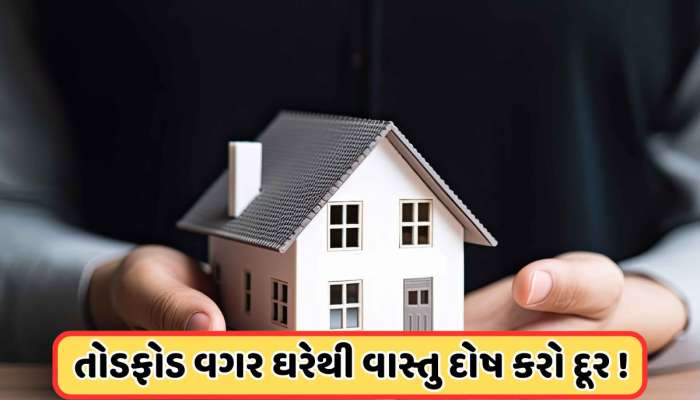 Home Vastu Tips: ઘરમાં કોઈપણ તોડફોડ વગર વાસ્તુ દોષથી બચવાના આ 7 સરળ ઉપાયો