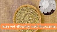 Saunf Mishri: ઉનાળામાં વરિયાળી અને સાકરનું પાણી પીશો તો નહીં થાય આ સમસ્યાઓ