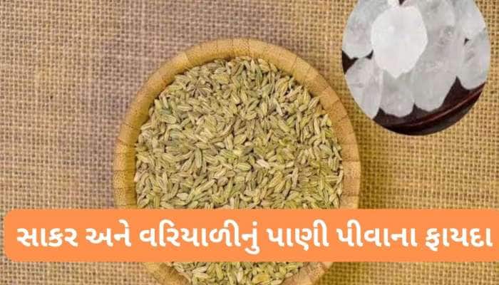 Saunf Mishri: ઉનાળામાં વરિયાળી અને સાકરનું પાણી પીશો તો નહીં થાય આ સમસ્યાઓ