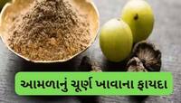 સવારે નરણે કોઠે 1 ચમચી આમળા ચૂર્ણ ખાઈ લેવું, શરીરની આ 4 સમસ્યા દવા વિના દુર થશે