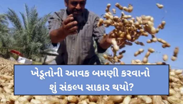 ગુજરાતમાં 2.76 લાખ ખેડૂતોને બખ્ખાં! જાણો ભૂપેન્દ્ર પટેલ સરકારે ટેકાના ભાવે કેટલી મગફળીની ખરીદી કરી? 
