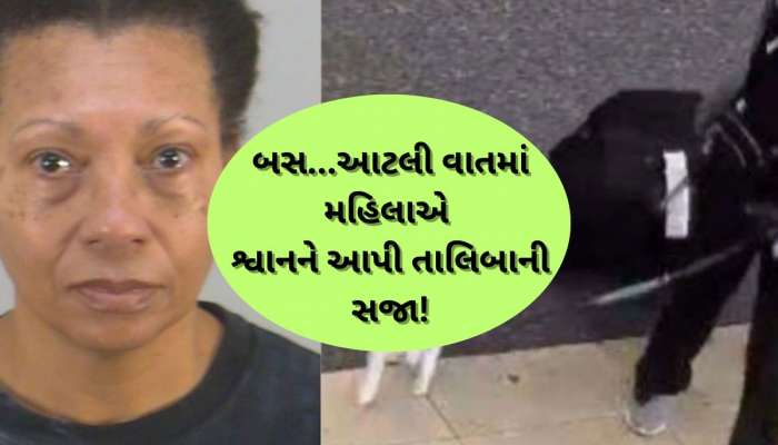 ઘોર કળિયુગ! આ મહિલાએ ક્રૂરતાની હદ વટાવી...વોશરૂમમાં જઈને શ્વાનને ડૂબાડી ડૂબાડીને મારી નાંખ્યો! 