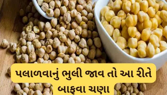 Cooking Tips: રાત્રે ચણા પલાળવાનું ભુલી જાવ તો ટ્રાય કરજો આ ટ્રીક, બસ 1 જ કલાકમાં પલળી જશે કાબુલી ચણા