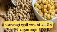 રાત્રે ચણા પલાળવાનું ભુલી જાવ તો ટ્રાય કરો આ ટ્રીક, 1 જ કલાકમાં પલળી જશે કાબુલી ચણા