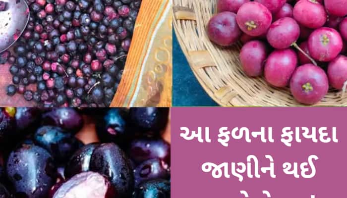 કેરી જ નહીં... ઉનાળામાં આ 6 ફળ પણ છે સ્વાસ્થ્ય માટે વરદાન,શરીરને મળશે જબરદસ્ત ફાયદા!