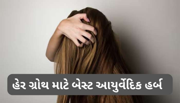 Hair Growth Tips: આ 4 આયુર્વેદિક હર્બ્સ વાળ માટે બેસ્ટ, ઝડપથી લાંબા થશે વાળ