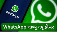 WhatsApp પર ફોટો શેયરિંગ થશે વધુ મજેદાર! હવે હલતી જોવા મળશે તસવીરો, જાણો કેવી રીતે?