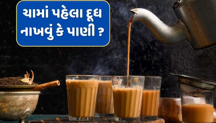 90 ટકા લોકોને ખબર નહીં હોય કે ચામાં પહેલા દૂધ નાખવું કે પાણી...જાણી લો સાચી રીત